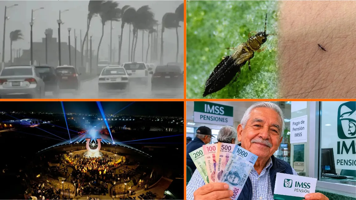 Noticias para el fin de semana: Masa de aire frío se aproxima a México; pequeños insectos invaden a la CDMX y Sheinbaum aumenta Pensión