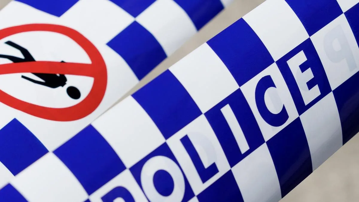Man charged with domestic violence murder after allegedly stabbing 90-year-old woman
