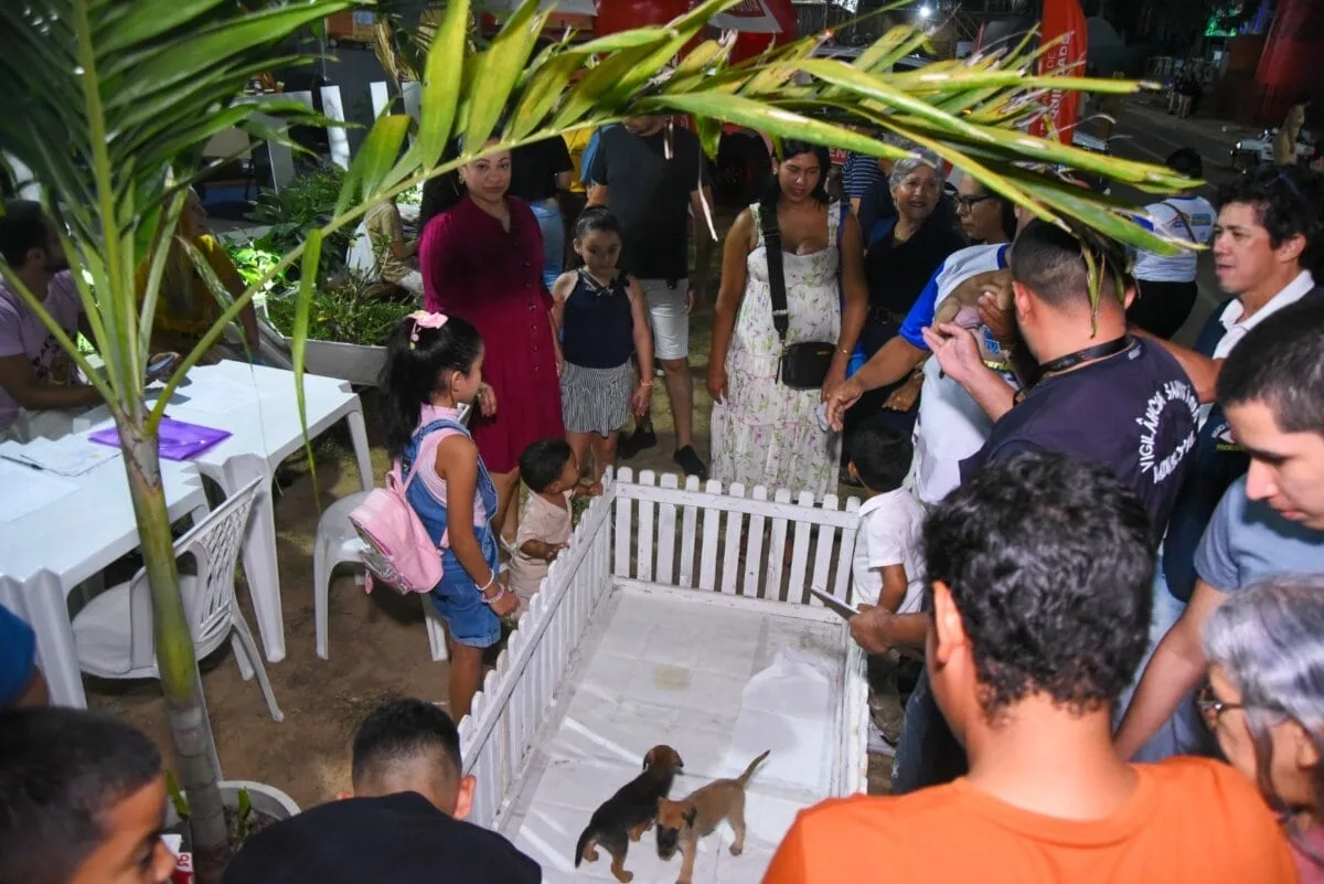 Festival da Farinha disponibilizou adoção de cachorros em Cruzeiro do Sul