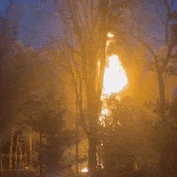 Incêndio em bambuzal deixa Chácara dos Poderes sem energia