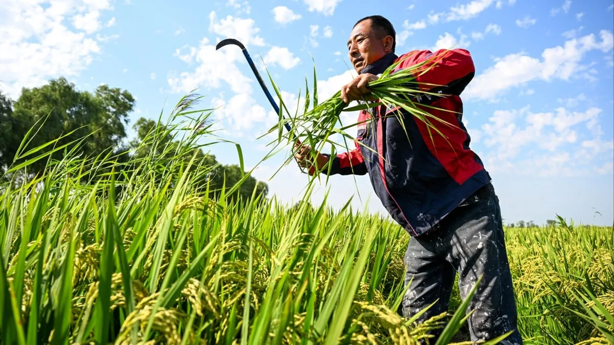 Asia’s super-rich are ‘going all in’ on sustainability as impact investing grows: survey
