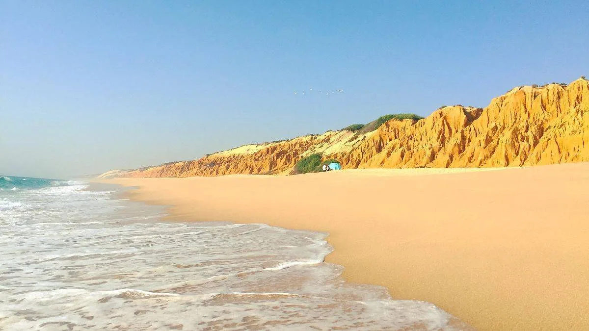 Comporta apontada como um dos principais locais de desembarque de cocaína em Portugal