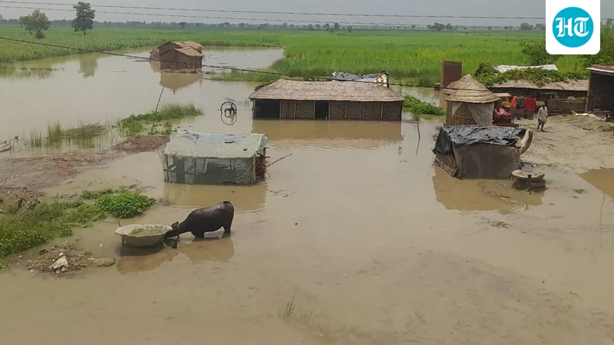 Bihar on alert as major rivers swell following heavy rains, all 69 gates of Sone Barrage opened