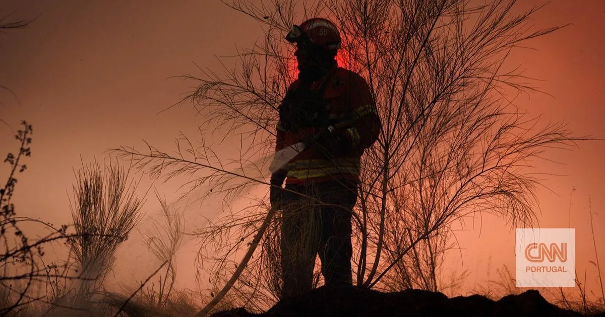 Fogo de Arouca já consumiu 1.300 hectares. Perto de 600 operacionais continuam no terreno