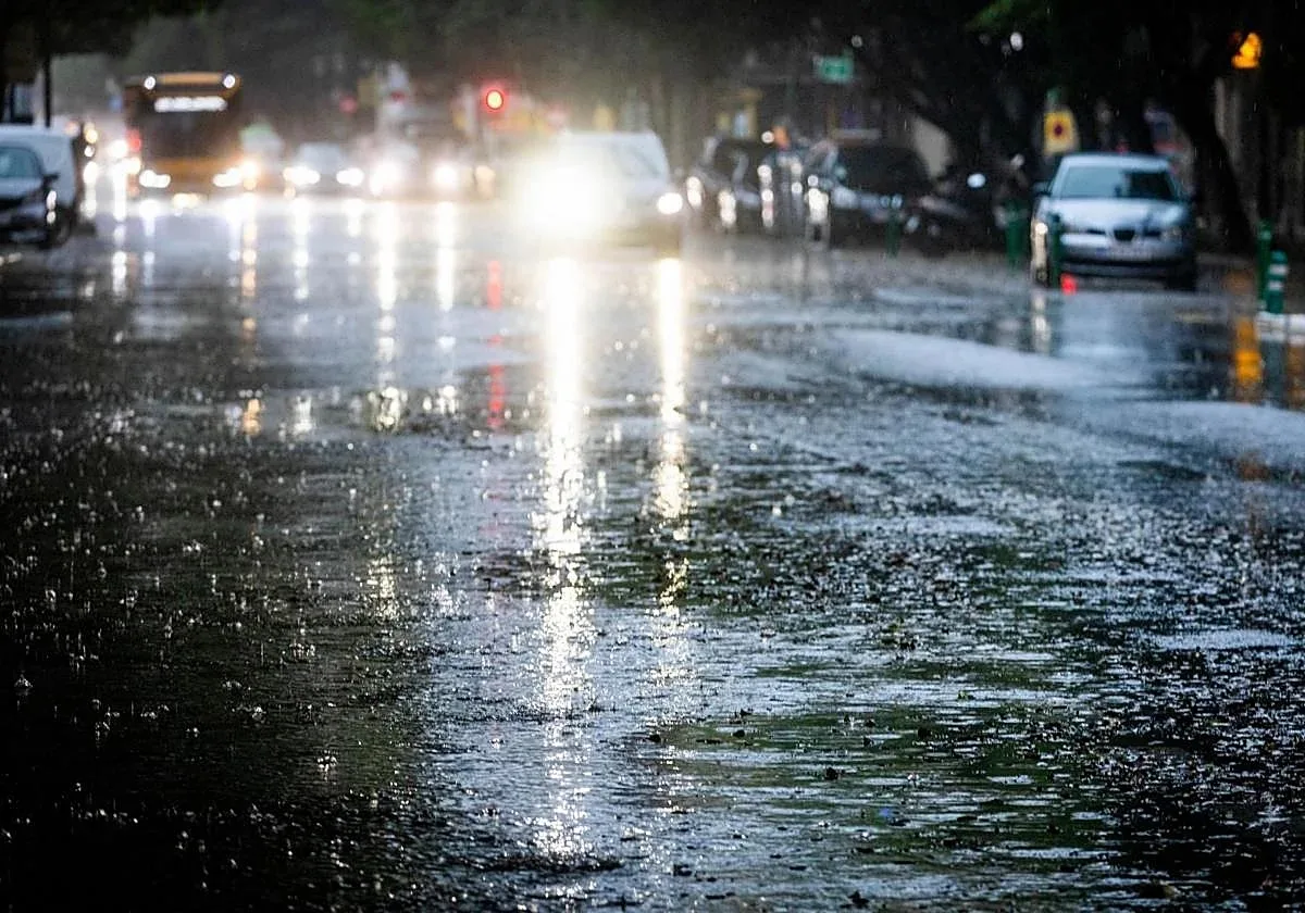 Lluvias provocan caída de árbol sobre vehículo y anegaciones en Valencia (+VIDEO)