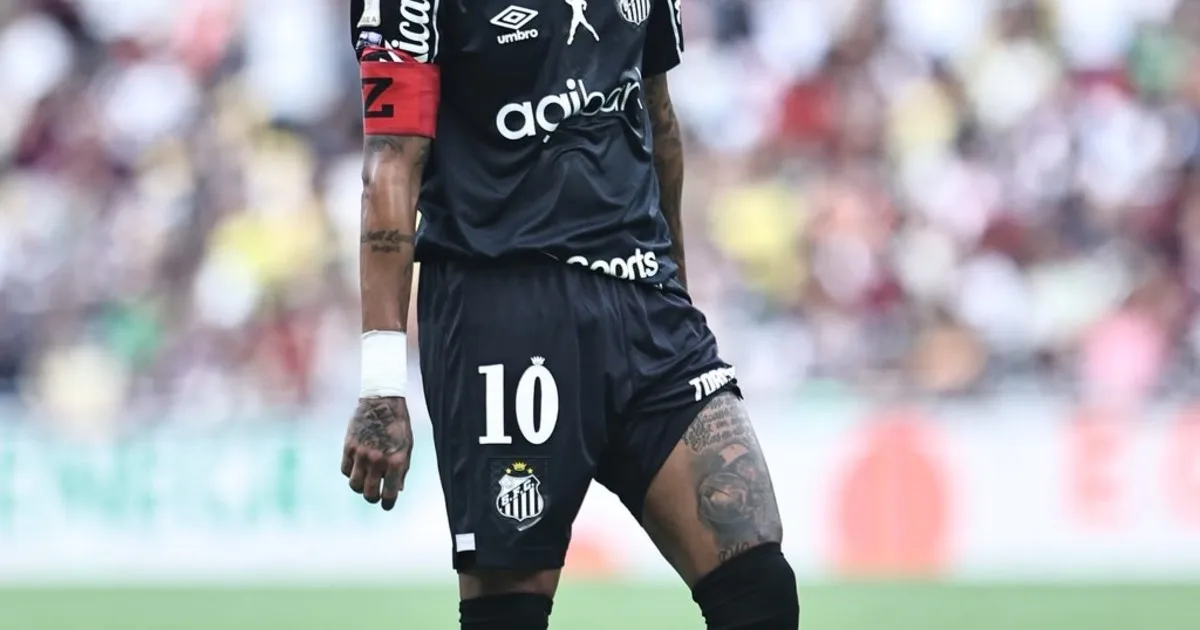 Santos le ganó a Fluminense por el Brasileirao con dos goles de sus figuras y un lindo sombrero de Neymar a Hulk