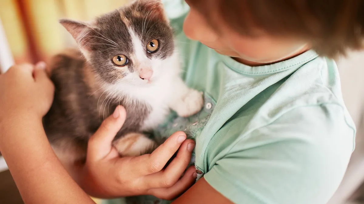Los veterinarios confirman: hacer este gesto a un gato aumenta las posibilidades de que se acerque aunque no te conozca