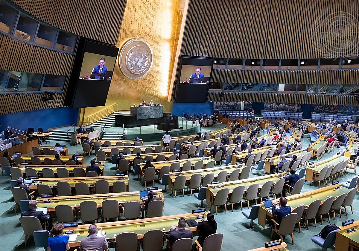 ¿Por qué la ONU no puede defender un orden internacional que ya no existe?