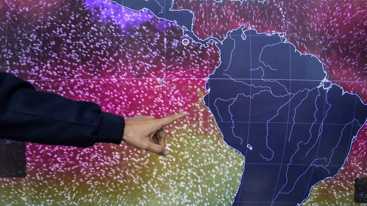 Seabirds, silting and salt: Photos show some of the early effects of El Niño
