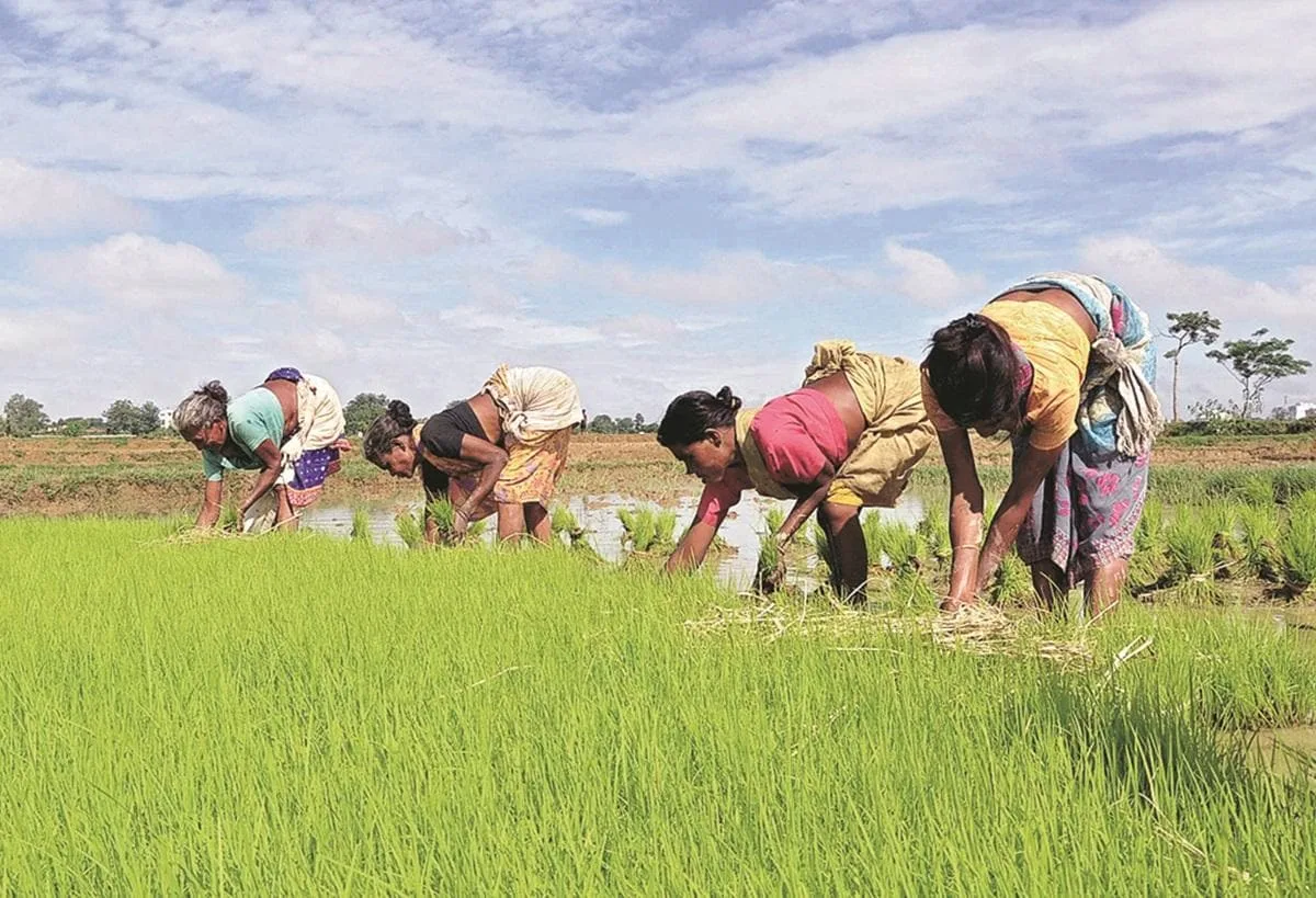 Monsoon crop sowing caught up after July rains: Agri Secy Atish Chandra
