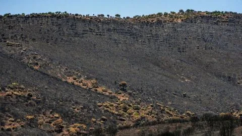 Un nuevo incendio decretado en la Sierra Oeste de Madrid obliga a confinar a los vecinos de Aldea del Fresno y Villamantilla