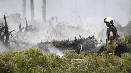 Les habitants évacués à cause de l'incendie en Belgique sont autorisés à rentrer chez eux