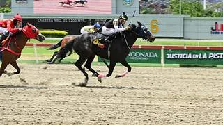 Otra gran baja en las no válidas: Retirada yegua que venía de ganar en su última y era favorita