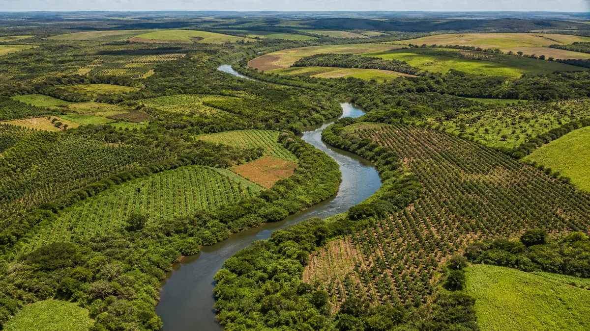 Inscrições do edital Restaura Rio Doce são prorrogadas até 30 de setembro