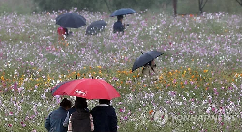 부산·울산·경남 오후부터 비…내일까지 10∼60㎜