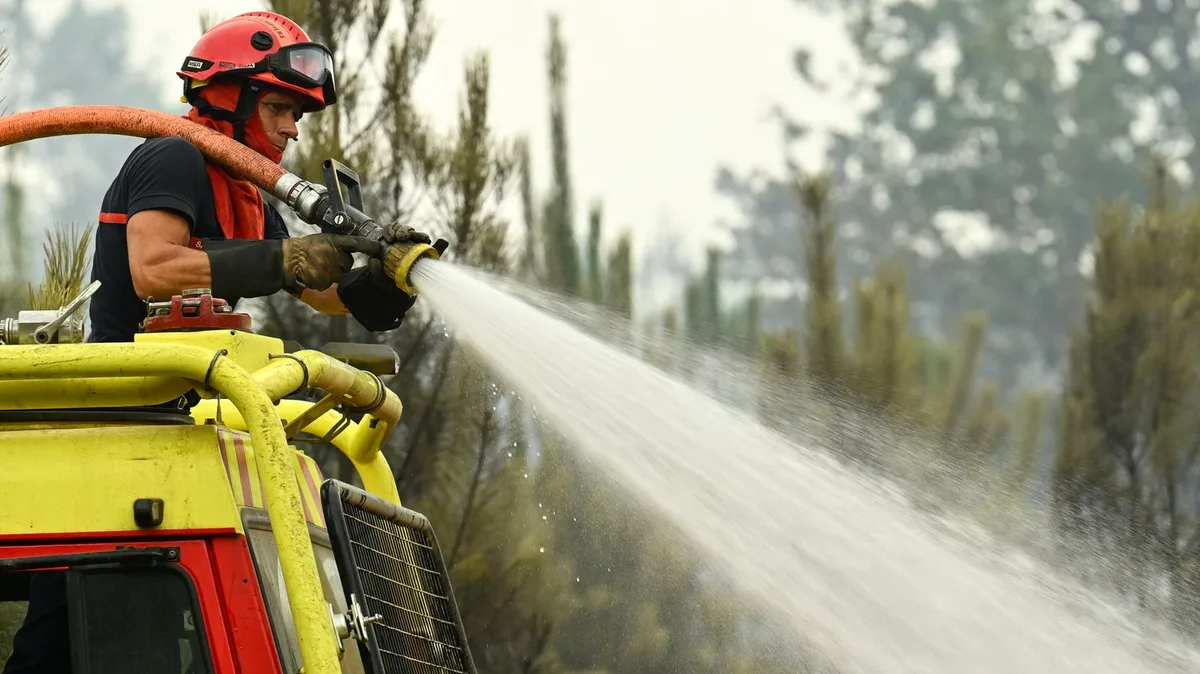 Incendie dans les Landes : "la situation evolue plutôt favorablement", sans reprise majeure cette nuit, selon le préfet