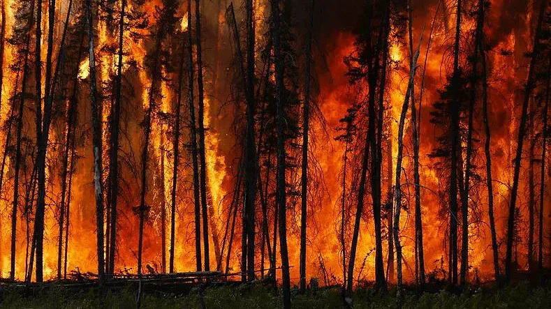 Inteligência artificial consegue prever risco de incêndios mais perigosos com até 16 dias de antecedência