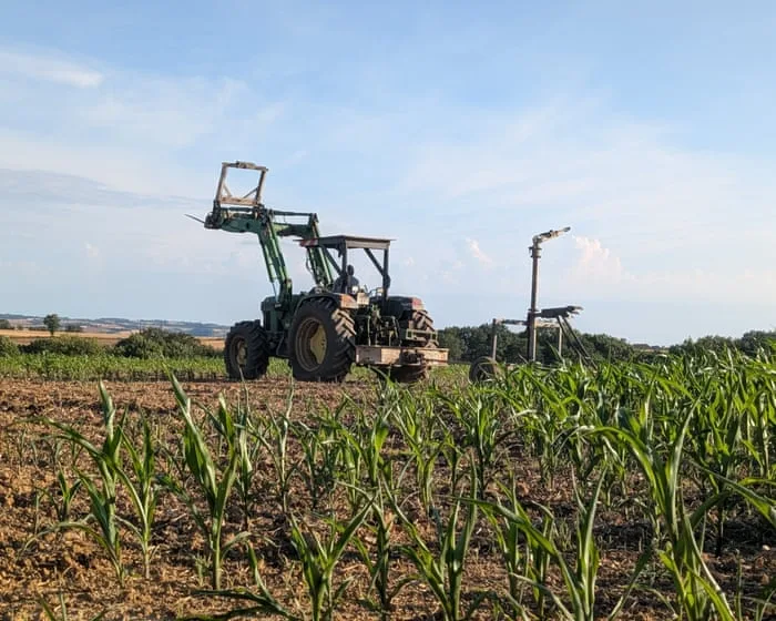 European farmers face ‘unprecedented crisis’ after successive heatwaves