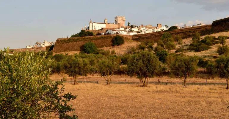 Alentejo 2030 apoia modernização digital de autarquias