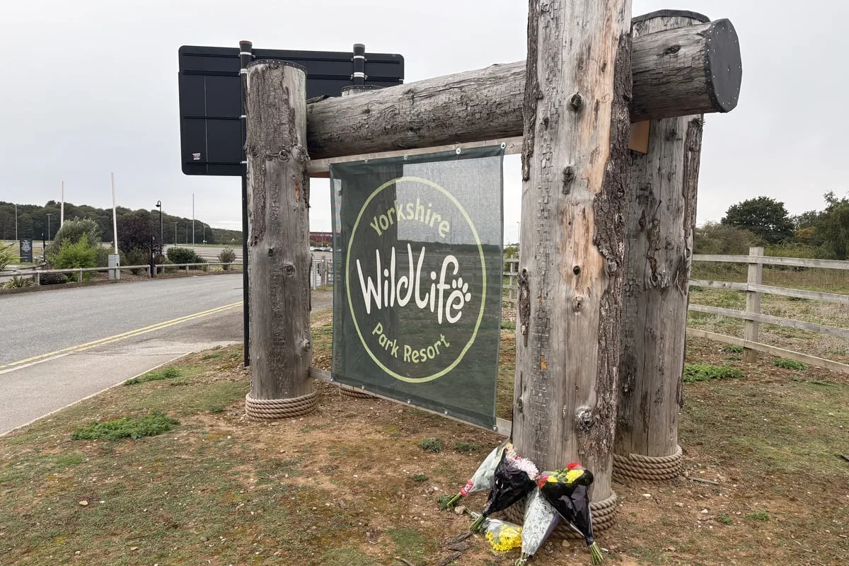 Visitors return to Yorkshire Wildlife Park six days after man killed by tiger