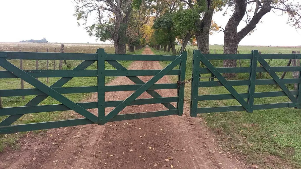 Mercado de créditos de carbono: productores dicen que hay una oportunidad de US$4800 millones anuales y presentan proyecto de ley