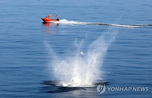 ADD "자폭드론 해상추락은 발사관 단순결함 탓…무인기는 정상"