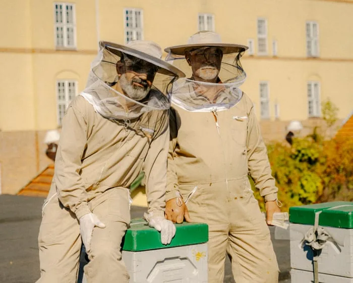 Is the modern economic system broken? These urban beekeepers think so – and this is their solution