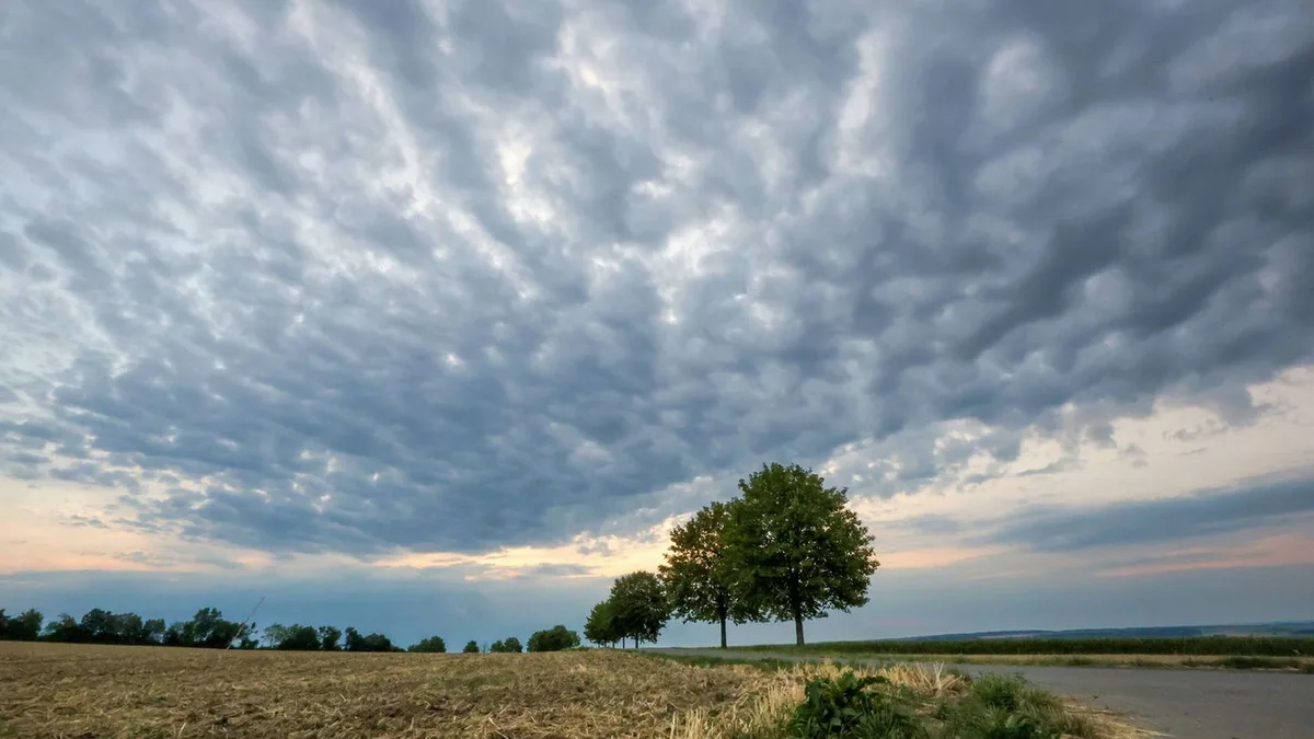 Wettervorhersage: Regen und Böen in Nordrhein-Westfalen
