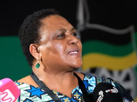 Didiza survives EFF no-confidence motion after MPs vote overwhelmingly against removal