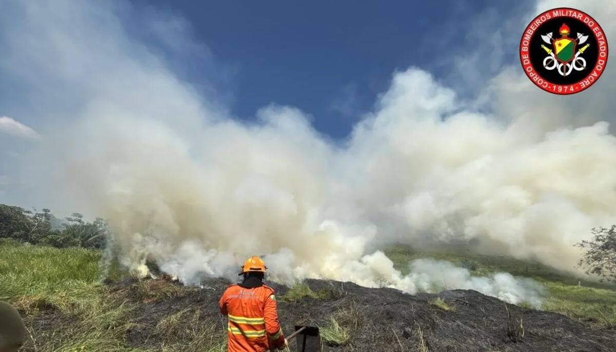 Incêndios atingem Rodrigues Alves e Cruzeiro do Sul