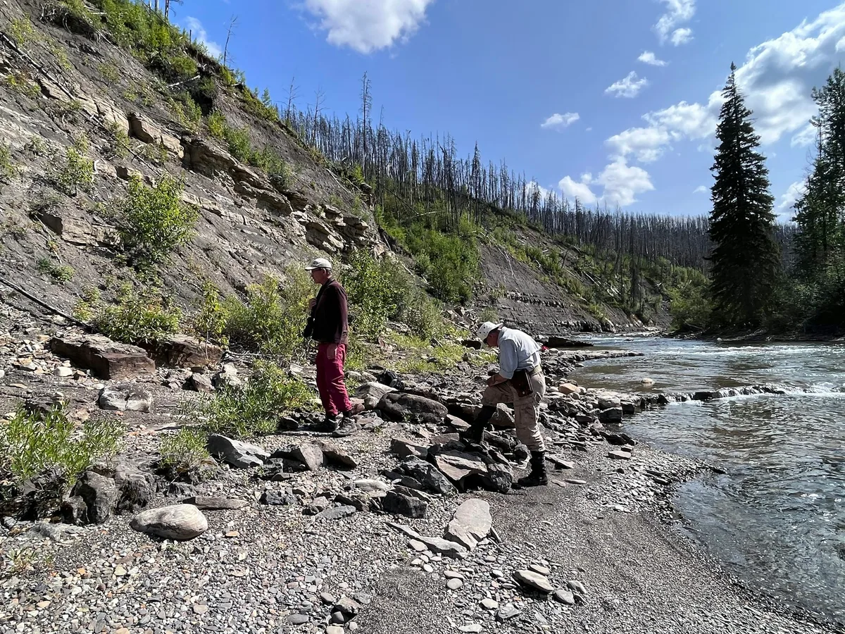 We discovered rare dinosaur tracks from the Coniacian age near Tumbler Ridge, British Columbia