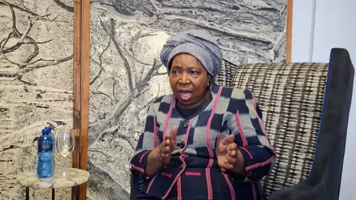 Dlamini-Zuma retracts Lamola voice note claim, but still concerned over ANC leadership money influence