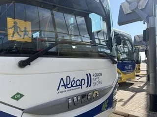 « C’est honteux » : le transport pour sa fille handicapée est supprimé, cette mère se retrouve sans solution