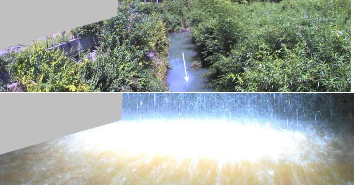 河川監視のライブカメラ水没か――千葉豪雨、村田川の映像が水中に 「こんなの初めて見た」