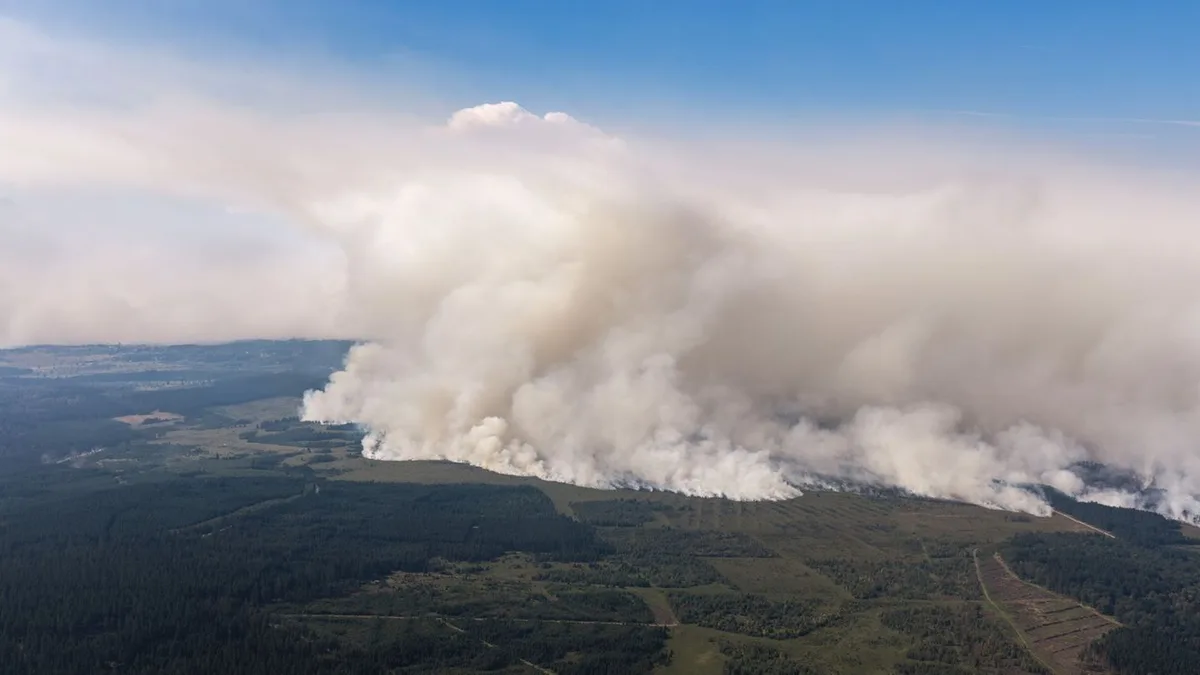 Waldbrand: Belgische Behörden fordern Einsatzkräfte aus Deutschland an