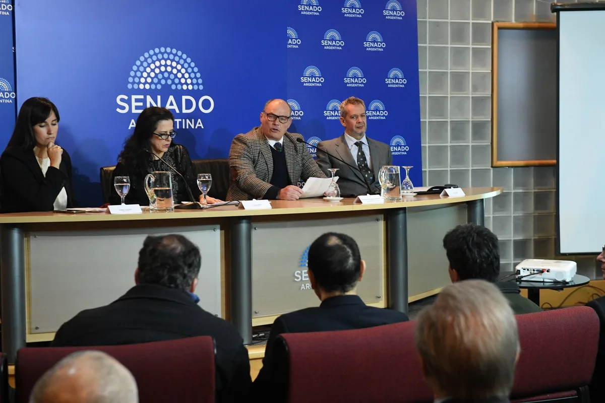 “Estamos al borde del decrecimiento poblacional”: debate en el Senado sobre el desafío del envejecimiento de la sociedad