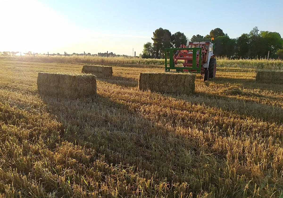 Asaja se opone a financiar el desarrollo rural con las ayudas directas de la PAC