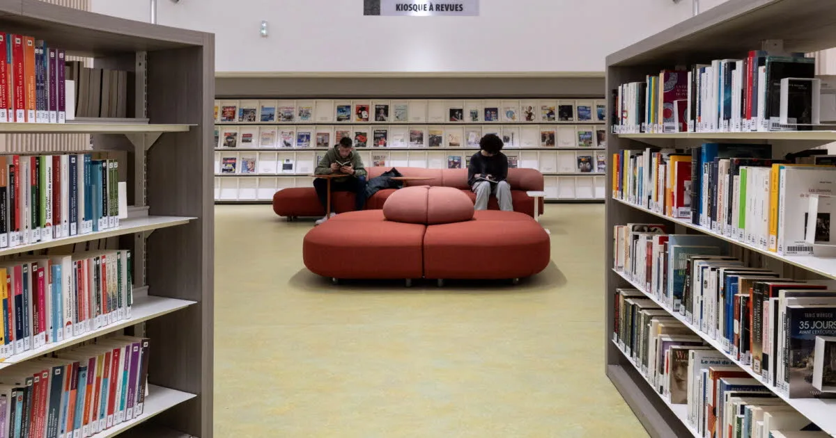 Culture. Horaires élargis, numérique, nouveaux services… pourquoi les bibliothèques n’ont jamais eu autant de succès