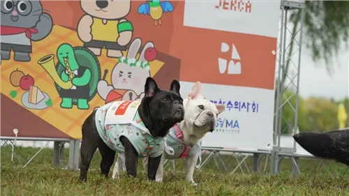 반려견과 한강산책·행복 찾은 유기견 자랑…서울동물행복페스타
