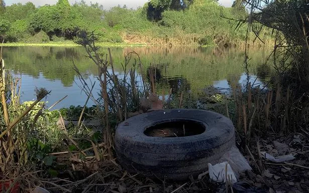 Advierte IMSS por posible repunte de casos de dengue durante septiembre en Coahuila