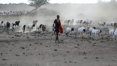 Wie Kenias Bäuerinnen Wetterextremen trotzen