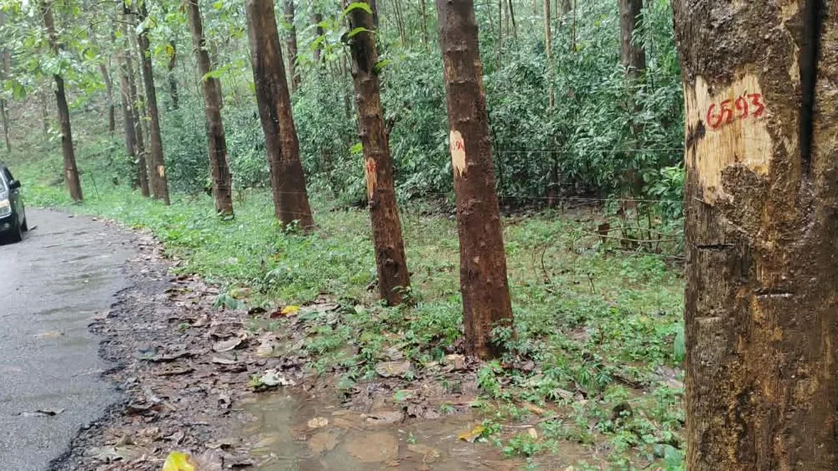 Forest ‘violations’ in Keralam’s Chalakudy division come under scrutiny