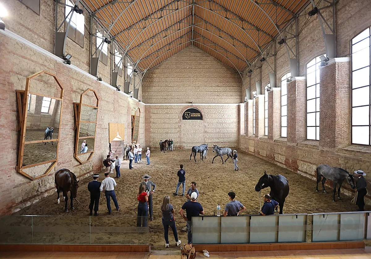 EL Ayuntamiento celebra la concesión de las Caballerizas Reales a Córdoba Ecuestre: «Es lo mejor para la ciudad»