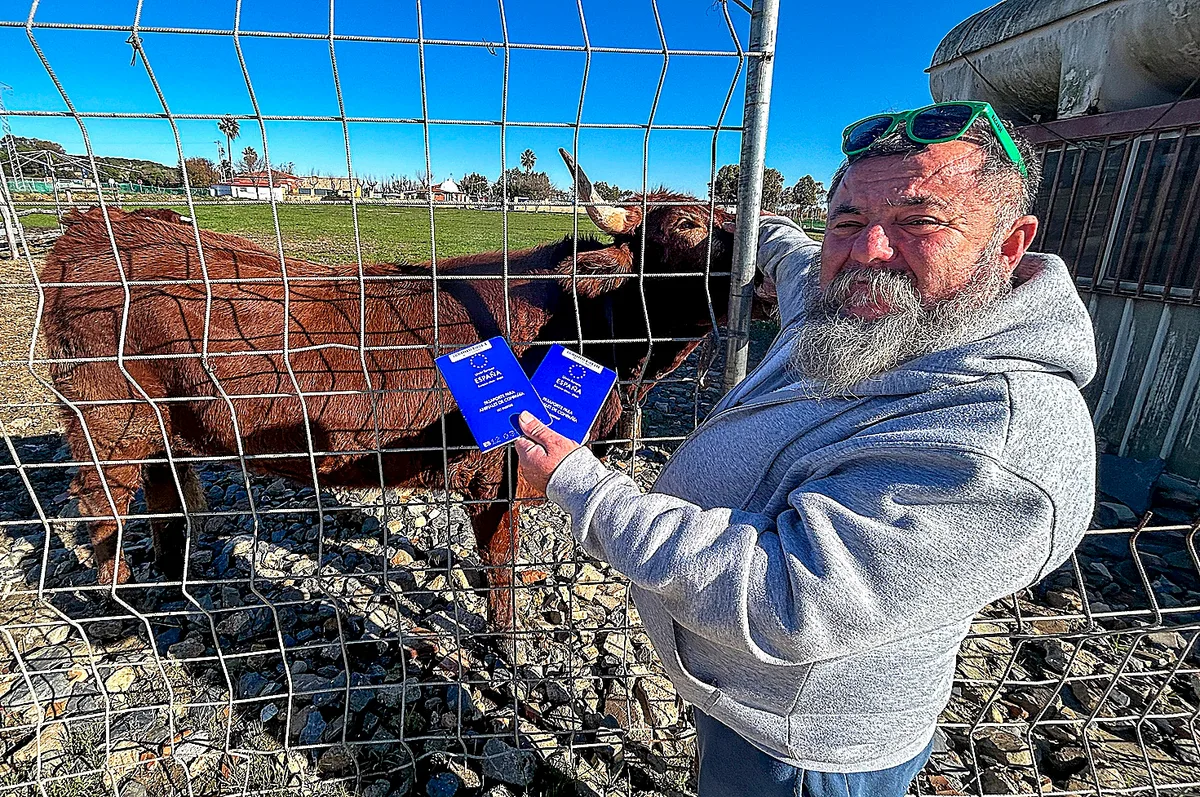 La lucha de José Antonio para evitar el sacrificio de sus 'vacas mascota' Tiberia I y Tiberia II: «Son mi familia»