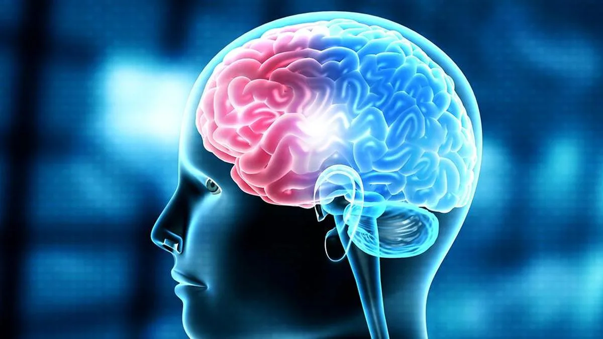 Peripheral inflammation may drive brain damage in rare neurological disorder, finds NIMHANS study