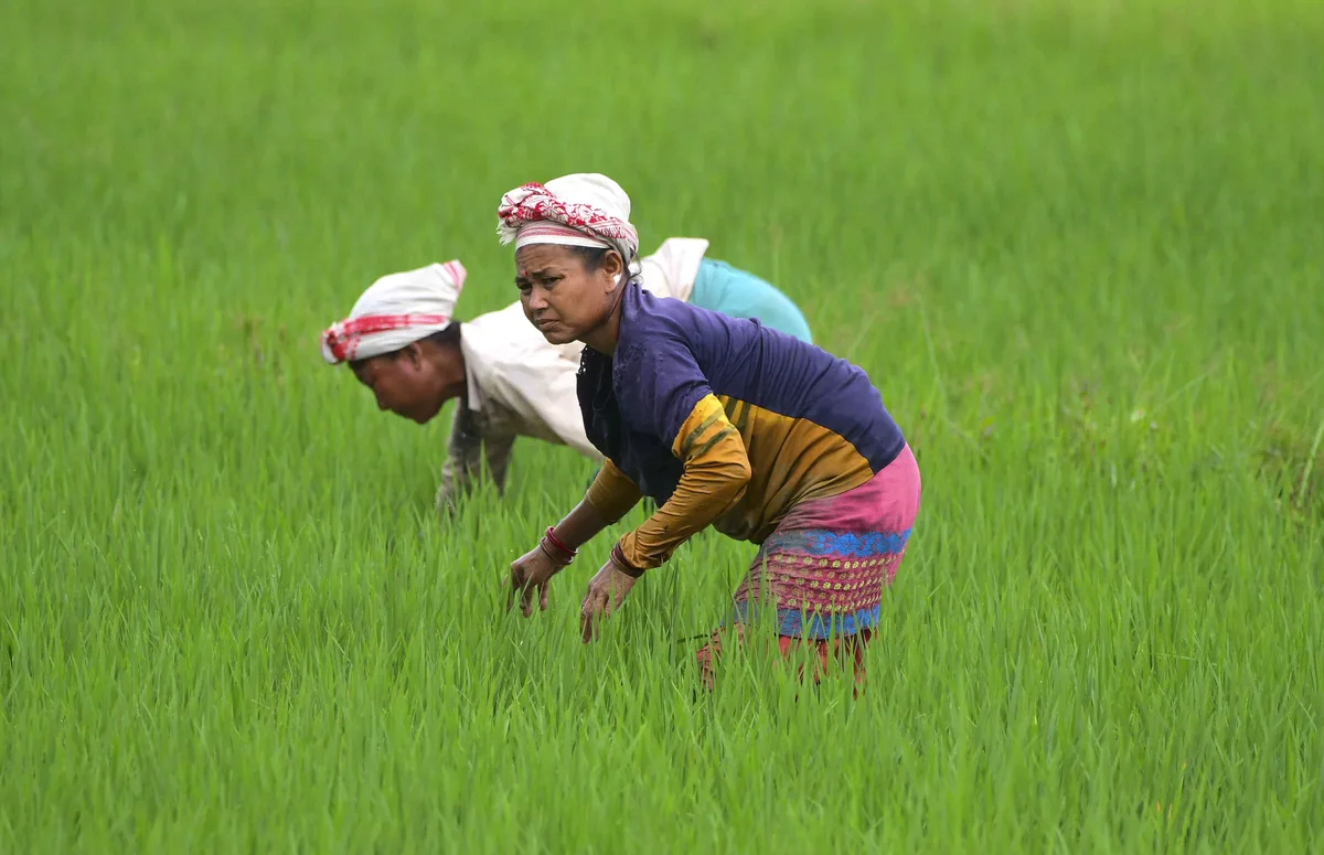 Women expand footprint across farming, research and agri-tech ecosystem