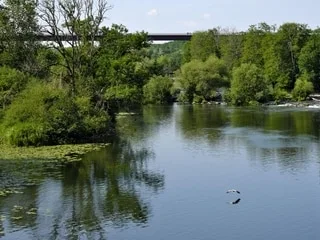 Deux cas de légionellose détectés en Haute-Saône, dont un mortel