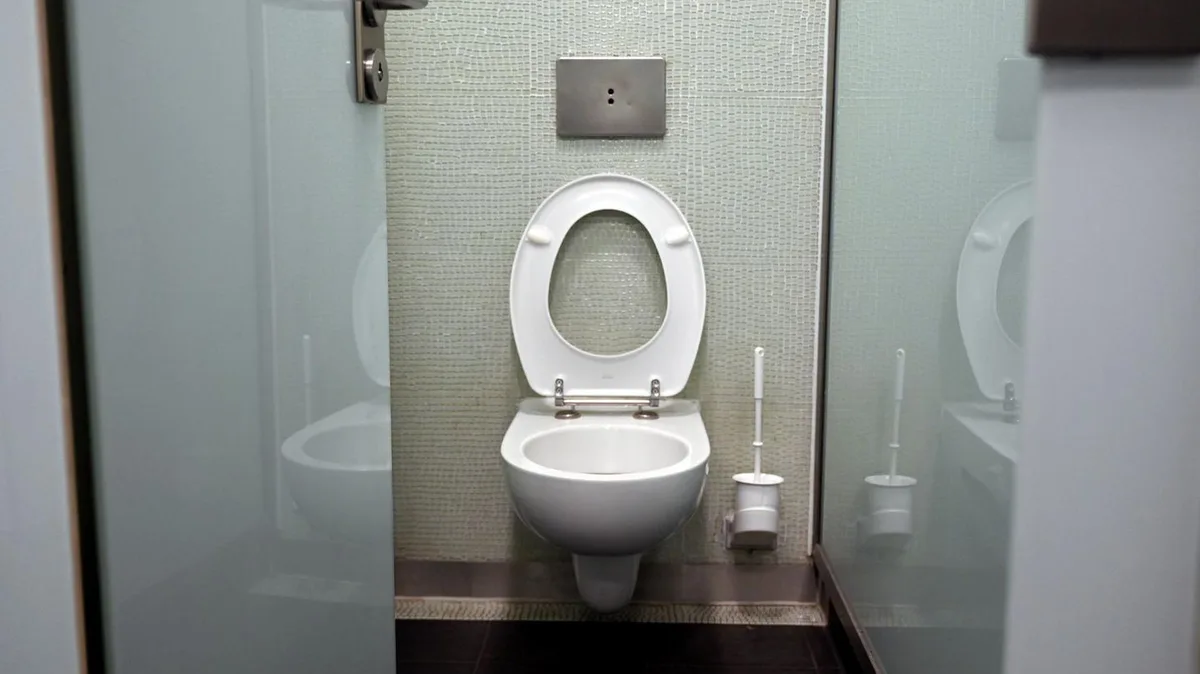 Problemfall Toilette: Das kann passieren, wenn Sie Essensreste im Klo entsorgen