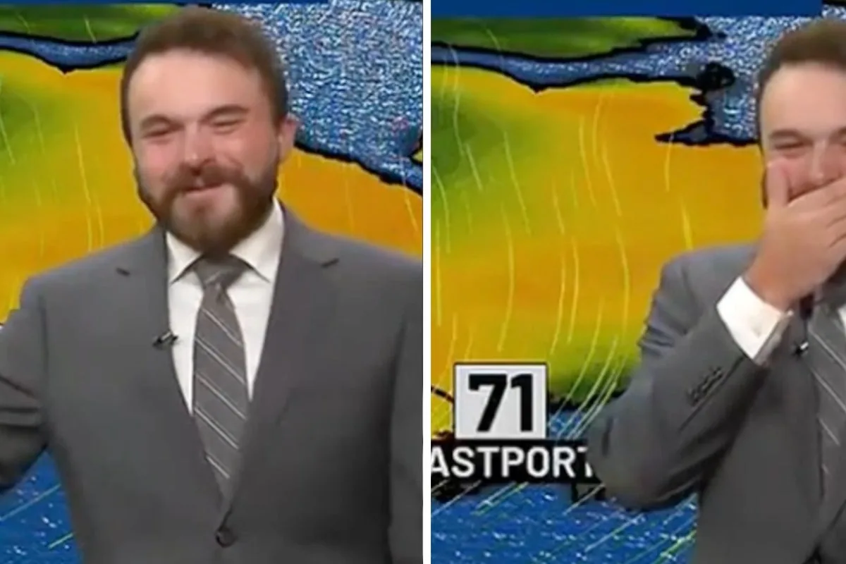 Meteorologist bursts into uncontrollable giggles during live broadcast
