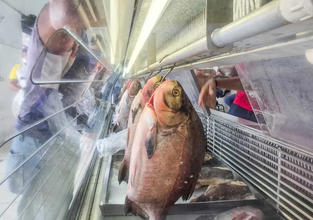 Semana do Pescado começa amanhã em MS com previsão de venda 15% maior